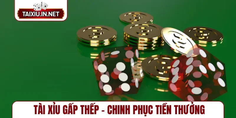 Tài xỉu gấp thếp